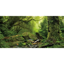 AWERT Tropical Forest Terrarium Background Stream Green Huge Tree Reptile Habitat Background Foggy Rainforest Aquarium Background 48x20 inches Durable Polyester Background