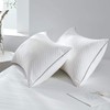 GOHOME Queen Size Pillow Set of 2 - Fluffy Down