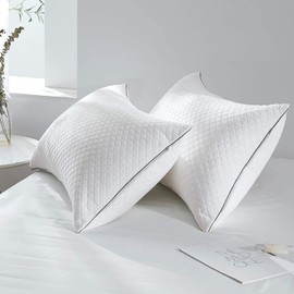 GOHOME Queen Size Pillow Set of 2 - Fluffy Down Alternative Pillows for Side, Back, Stomach Sleepers, 20"x30"