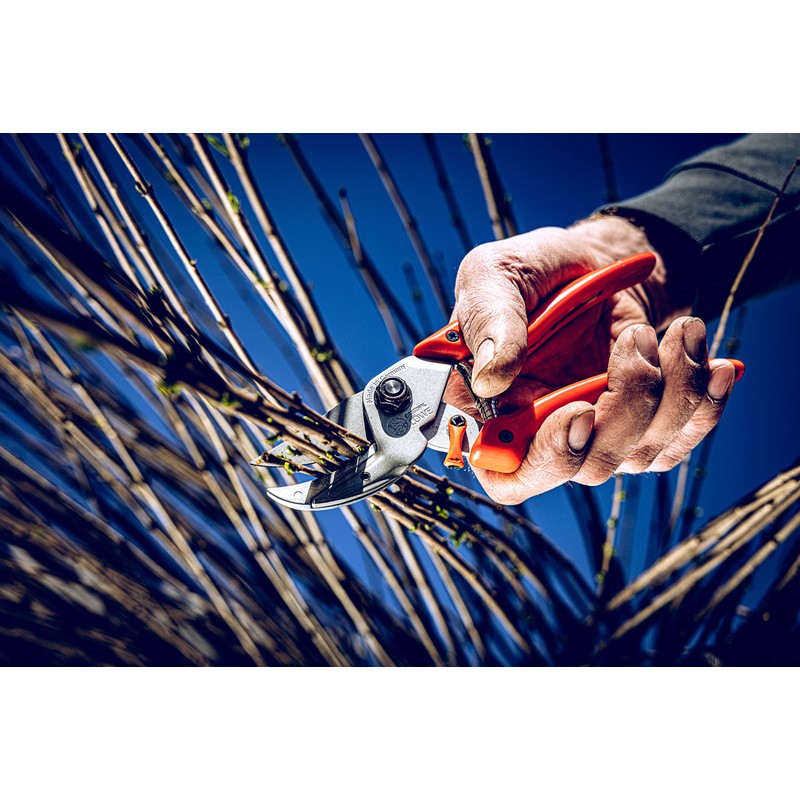 Original Löwe Garden Shears, Metal