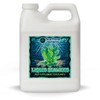 Liquid Seaweed for Plants (32 oz) Quart | Concentrated Liquid