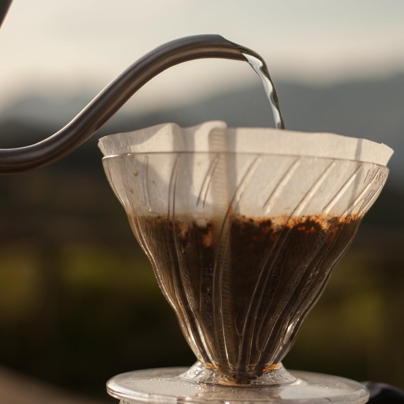 Hario, Confezione di filtri in Carta per caffè, VCF-01-100M, White,