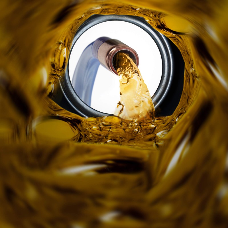 Relaxdays Pump Hose 187 cm Length Shake Pump for Transfer