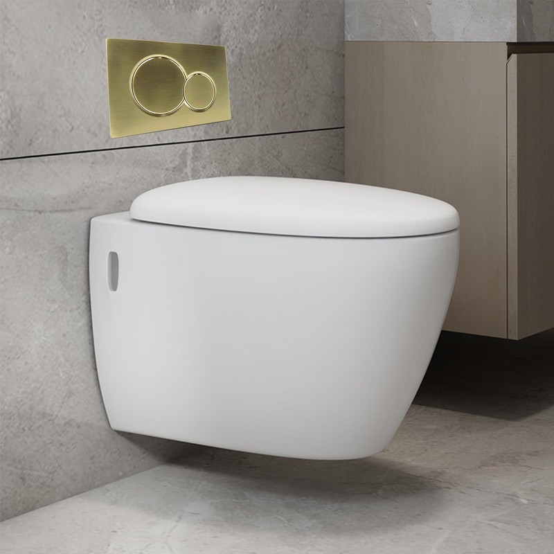 VALLVATER Dual-Flush Actuator Plate Compatible with Geberit 115.770.46.6, Brushed Gold