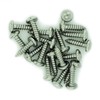 No.2 x 0.5 (2.2mm x 13mm) TX Pan Self-Tapping Screw
