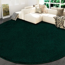 RTBQJ-AT Round Rug, Fluffy Washable Rugs for Living Room, Living Room, Bedroom, Round, Soft Area Rugs, Diameter 80 cm, Green