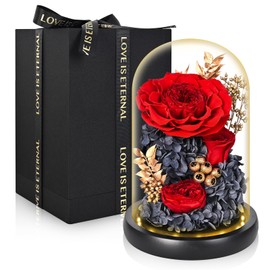 TERRALYX Preserved Roses in Glass Dome,Eternal Rose & Peony with Led Light,Forever Flowers,Long Lasting Forever Flowers,Birthday Flowers for Women,Valentine Mother's Day Anniversary Thanksgiving