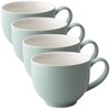 FORLIFE Q Tea Cup with Handle Satin Finish (Set of