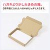 Earth Cardboard, Cardboard, Non-Shaped Mail, Postcard Size, Thickness 1.2 inches