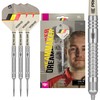 TARGET Darts Dimitri Van den Bergh Dream Maker G2 21G