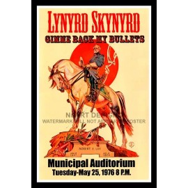 Home Decor Framed Vintage Style Rock 'n' Roll Poster "LYNYRD SKYNYRD, 1976";12x18