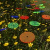 Sunplay Sun Catcher Discs in Colour Mix, Set of 10,