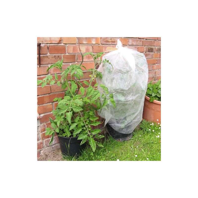 Connex FLOR80250 Tomato Fleece, Multi-Colour