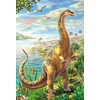 Schmidt Spiele, Adventure with the Dinosaurs, 3 x 48 Pieces