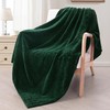 Exclusivo Mezcla Extra Large Flannel Fleece Throw Blanket, 127x178 CM