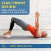 ProBody Pilates Exercise Balls Physical Therapy - 9 Inch Small