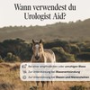 Sensipharm Urologist Aid Horse