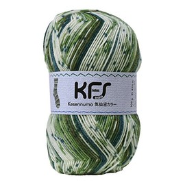 Opal KFS108 Wool Yarn, Kesennuma Color, Forest Green, Multicolor