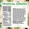 Remedy Organics Tropical Greens 12-Pack | Plant Based Protein Shakes,