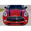 The Pixel Hut Black Hood Bonnet Stripes Decals for Mini