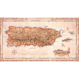 One Treasure Limited Antique Vintage Old World Caribbean Puerto Rico Island Map