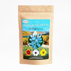 Massachusetts Wildflower Seed Mix - Attracts Pollinators - Regionally Adapted Seeds for MA Gardens & Meadows - Non-GMO