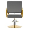 Barber Salon Chair, 360° Swivel, Stainless Steel, 440lbs Load