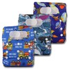 Littles & Bloomz, Reusable Pocket Cloth Nappy, Fastener: Hook-Loop, Set