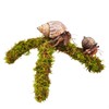 Begeterday Hermit Crab Accessories, 6 inch Hermit Crab Climbing Toys