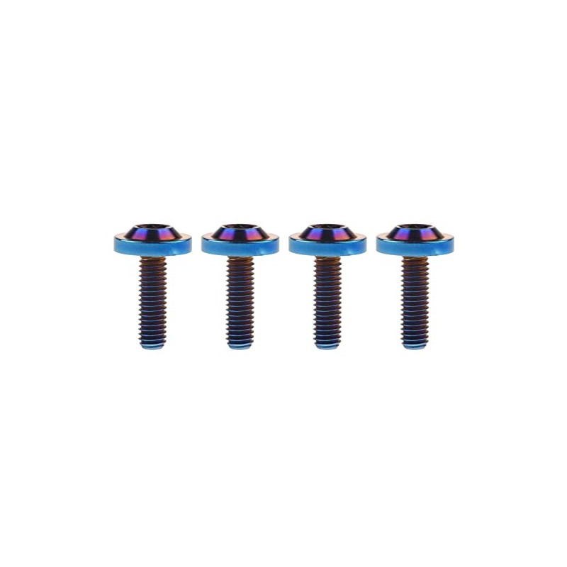 Wanyifa Titanium Bolt M6 10 15 20mm Torx T30 Screws