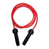 LINDSPORTS Weighted Jump Rope for Training (Red, 0.5kg)