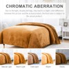 BOURINA Flannel Blanket Throw Lightweight Cozy Plush Microfiber Solid Fleece