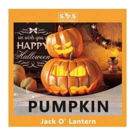 4 Varieties Pack Pumpkin Seeds - Jack O' Lantern Pumpkin, Porcelain Pink Pumpkin, Big Max Pumpkin, Jack Be Little for Your Vegetable Garden (Jack O' Lantern Pumpkin)