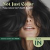 Herbatint Permanent Hair Dye - 1N Black - For Up