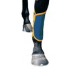 Dick Wicks Therapeutic Magnetic Horse Shin & Tendon Boot