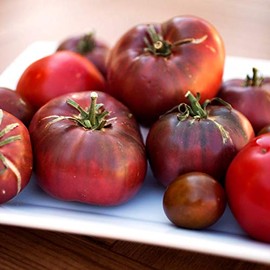 Cherokee Purple Tomato Seeds - USA Grown Heirloom (30+ seeds)