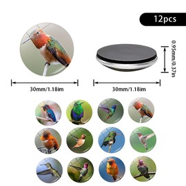 PacuM Pack of 12 Fridge Magnets from the Hummingbird Series, Decorative Fridge Magnets, Crystal Glass Fridge Magnets, Decorative Glass Cabochons, Colourful 3D Magnets for Fridge, Suitable for