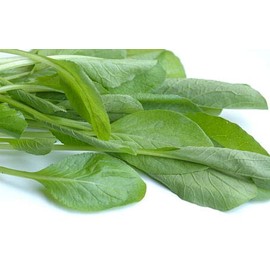 HeirloomSupplySuccess 100 Heirloom Andhrah Mustard Spinach Geens Seeds