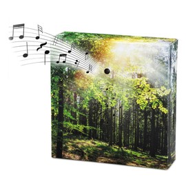 Bird Chirping Soundbox with Forest Sounds - 12 cm - Speaker with Bird Song and Forest Backdrop - Decorative Box with Nature Sounds Bird Sound with Motion Sensor for Bathroom, Spa, Guest Toilet and