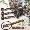 PetLove Chewing Stick for Dogs Made of Olive Wood, Wooden