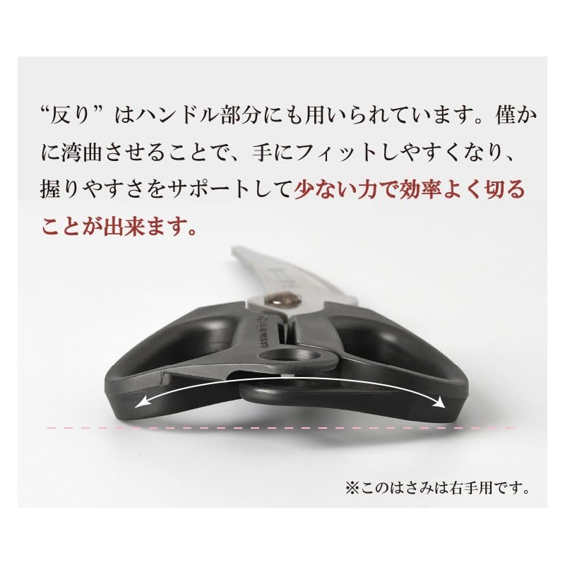 Kawabata Takisaburo Shoten Kitchen Scissors, Made in Japan, Rustproof, Cut,