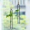 Sziqiqi Hanging Clear Glass Propagation Tube Vase for Cuttings, Hydroponic