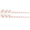 Short Square Press on Toenails Summer Fake Toenails with White