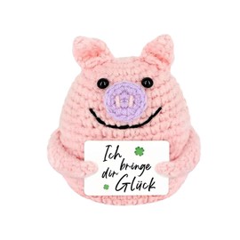 Ieron Pocket Hug Pig Positive Present Lucky Pigs Knitting Wool Pig Doll with Energy Card and Coin Courage Lucky Charm Exam Present for Friends Colleague Family