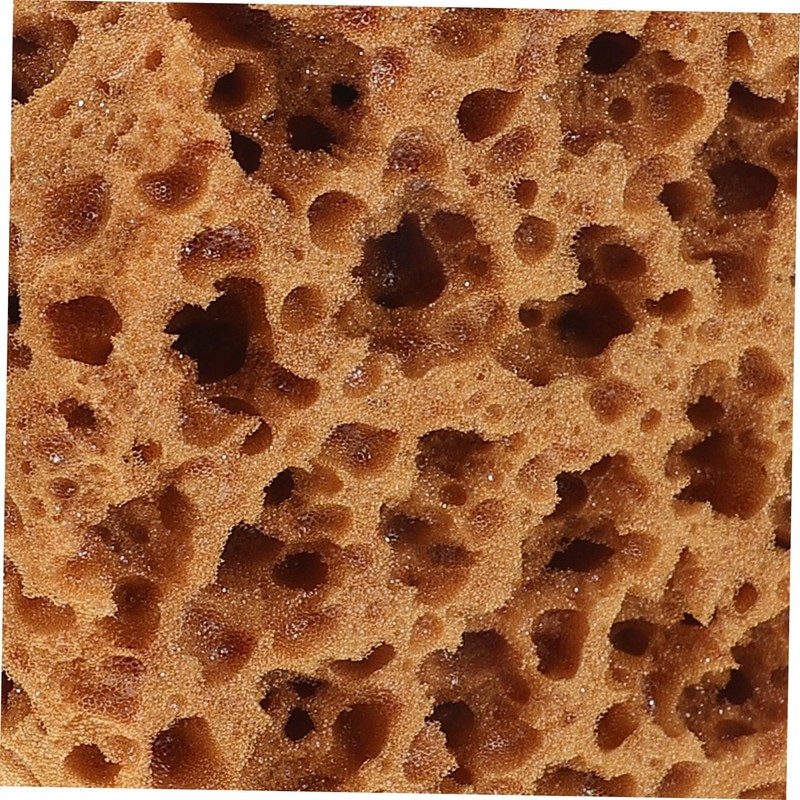 Sosoport Imitation Sea Sponge Painting Tool Unique Textured Sponge Brush