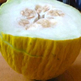SEEDS Golden Beauty Casaba Melon Seeds 30 SEEDS NON-GMO--BUY 4 ITEMS FREE SHIPPING