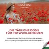 Bandini® Vitamin B Complex - 180 Tablets | High Dose: