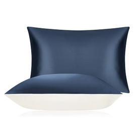 DISANGNI 100% Mulberry Silk Silk Pillowcase, Used for Hair and Skin, Envelope Type, Silk on one Side and Tencel on The Other Side (1pc Standard Size 20" x26" Blue)