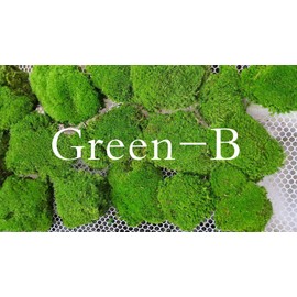 Prefleur Preserved Pole Moss Pillow Bun Cushion Natural Green Decorative Real Natural Green DIY Kit Terrariums Gardenning Art Wall Decor Florist Decor Easter Table Decor Wedding(4.5 sq.ft., Green-B)