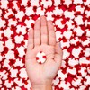 Red Bird Soft Peppermint Candy Puffs, Mints Individually Wrapped, Gluten-Free,